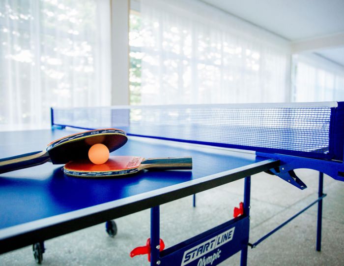 Настольный теннис - Курортный отель «Славянка»