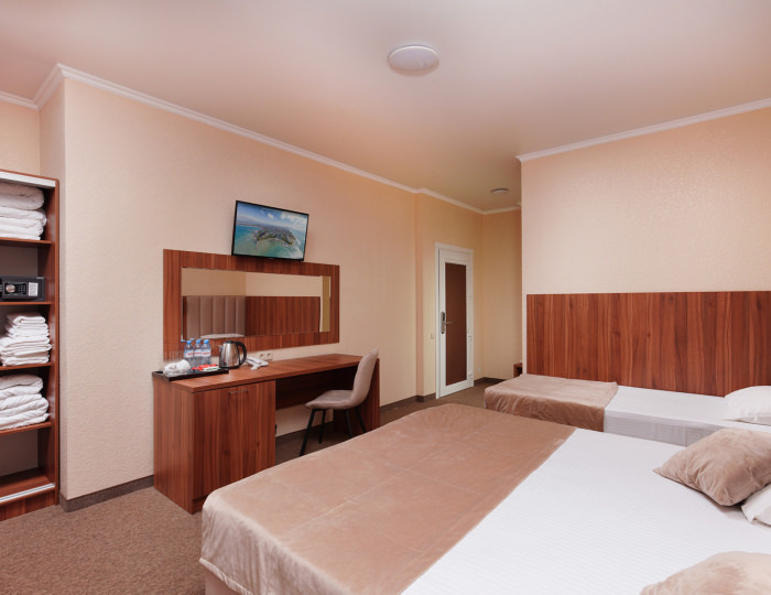 Делюкс 2-м с 2-мя доп.местами Бетон - Курортный отель «Славянка»